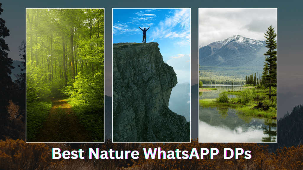 Nature DP for WhatsApp